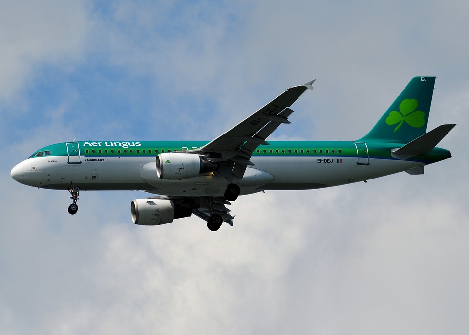 Mareo llamada Enfatizar ▷ Aer Lingus equipaje de mano, La mejor guía [2019] - Odizea